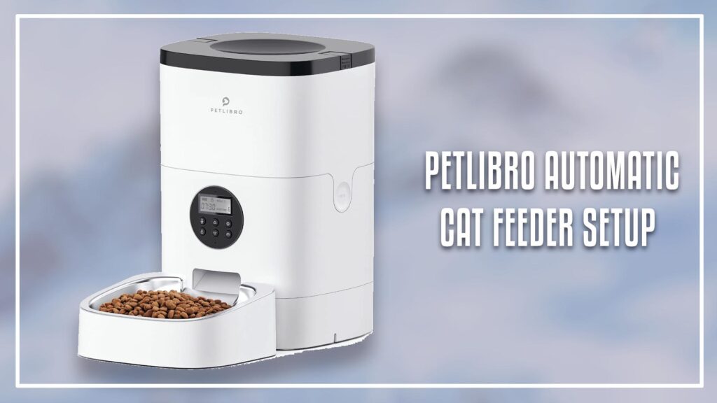 petlibro automatic cat feeder set up