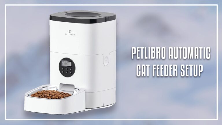 Petlibro Automatic Cat Feeder Setup