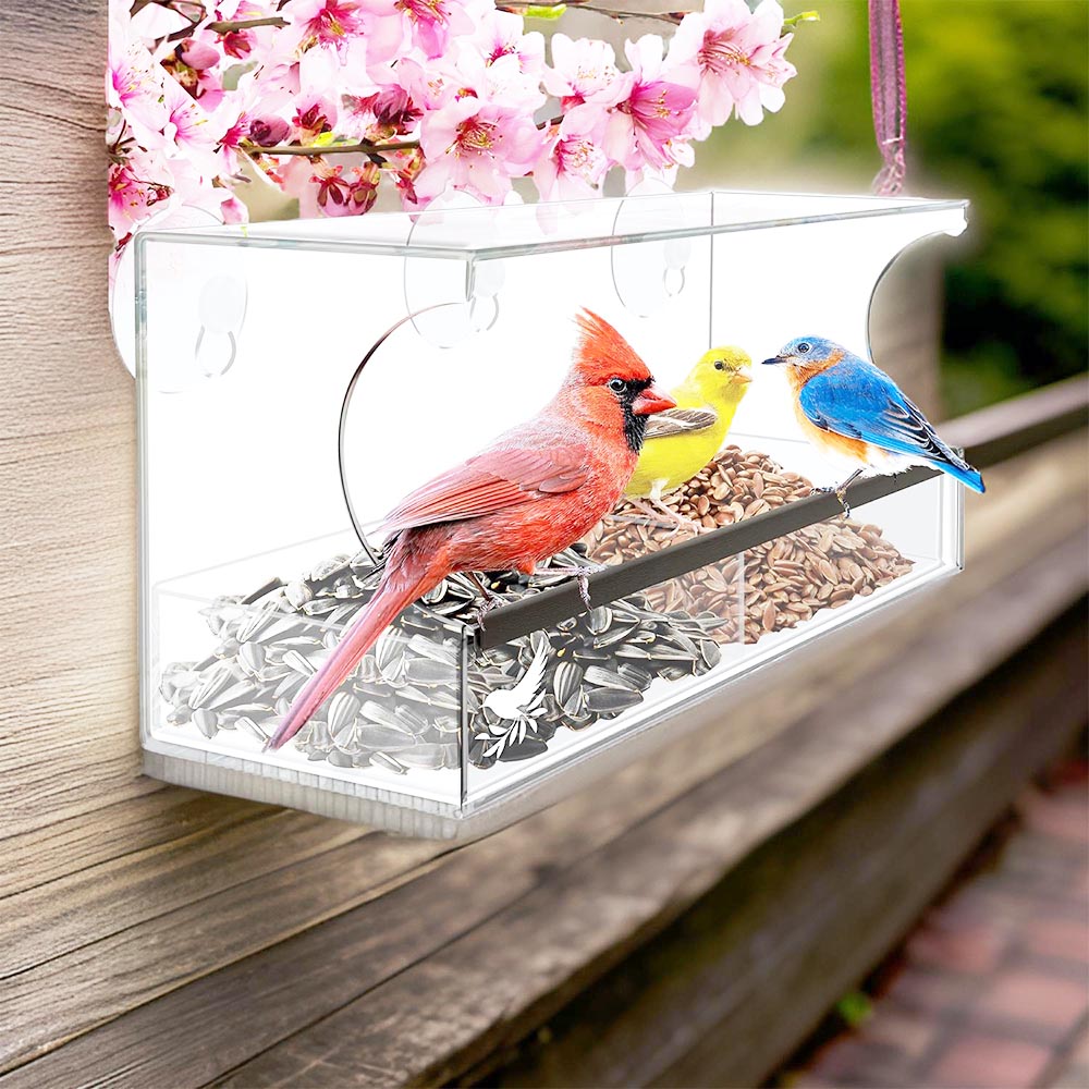 best squirrel proof bird feeder for cardinals