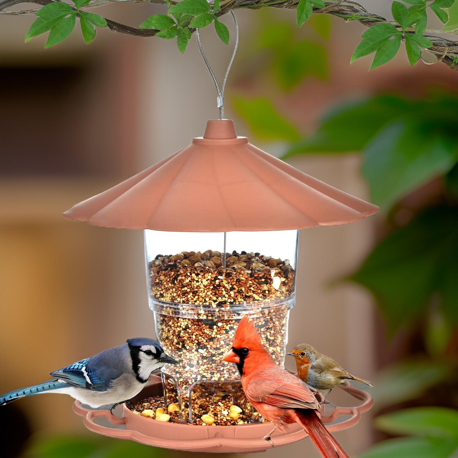 bird feeder for blue jays and cardinals