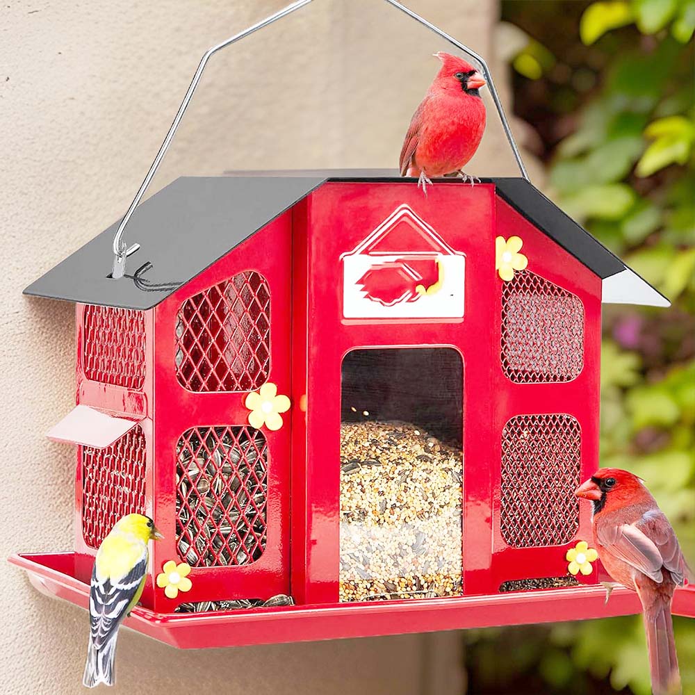bird feeder for robins and cardinals