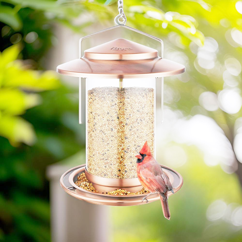 bird feeder that attracts cardinals