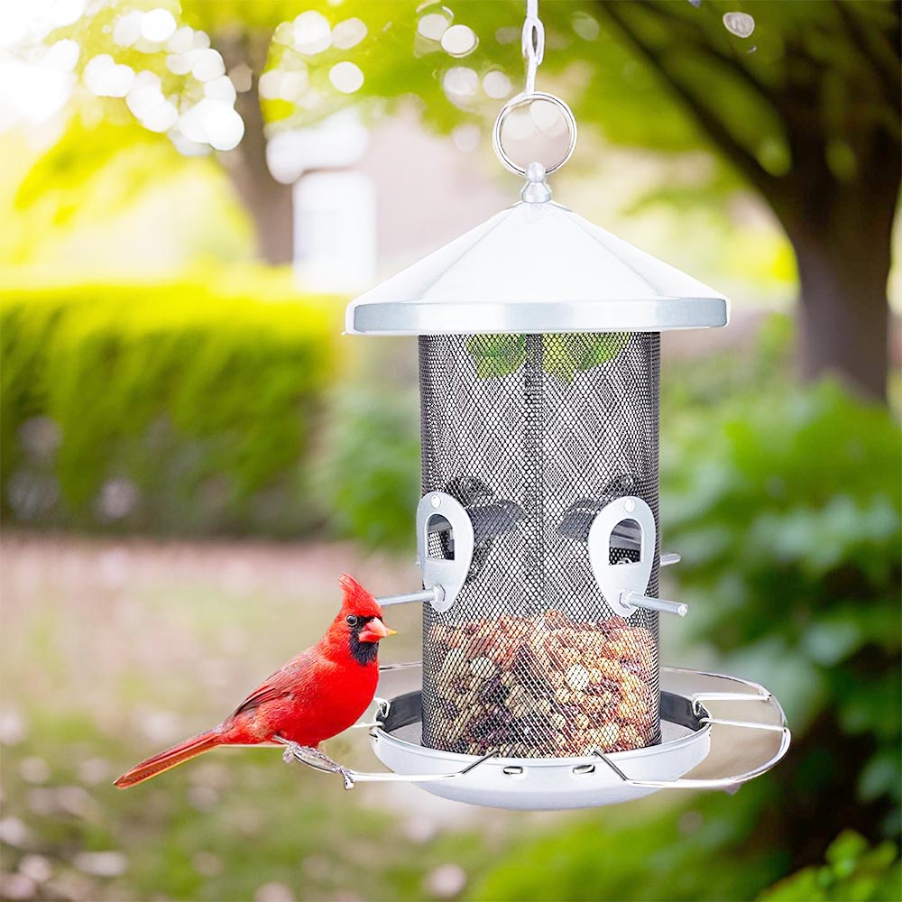 bird feeder to attract cardinals