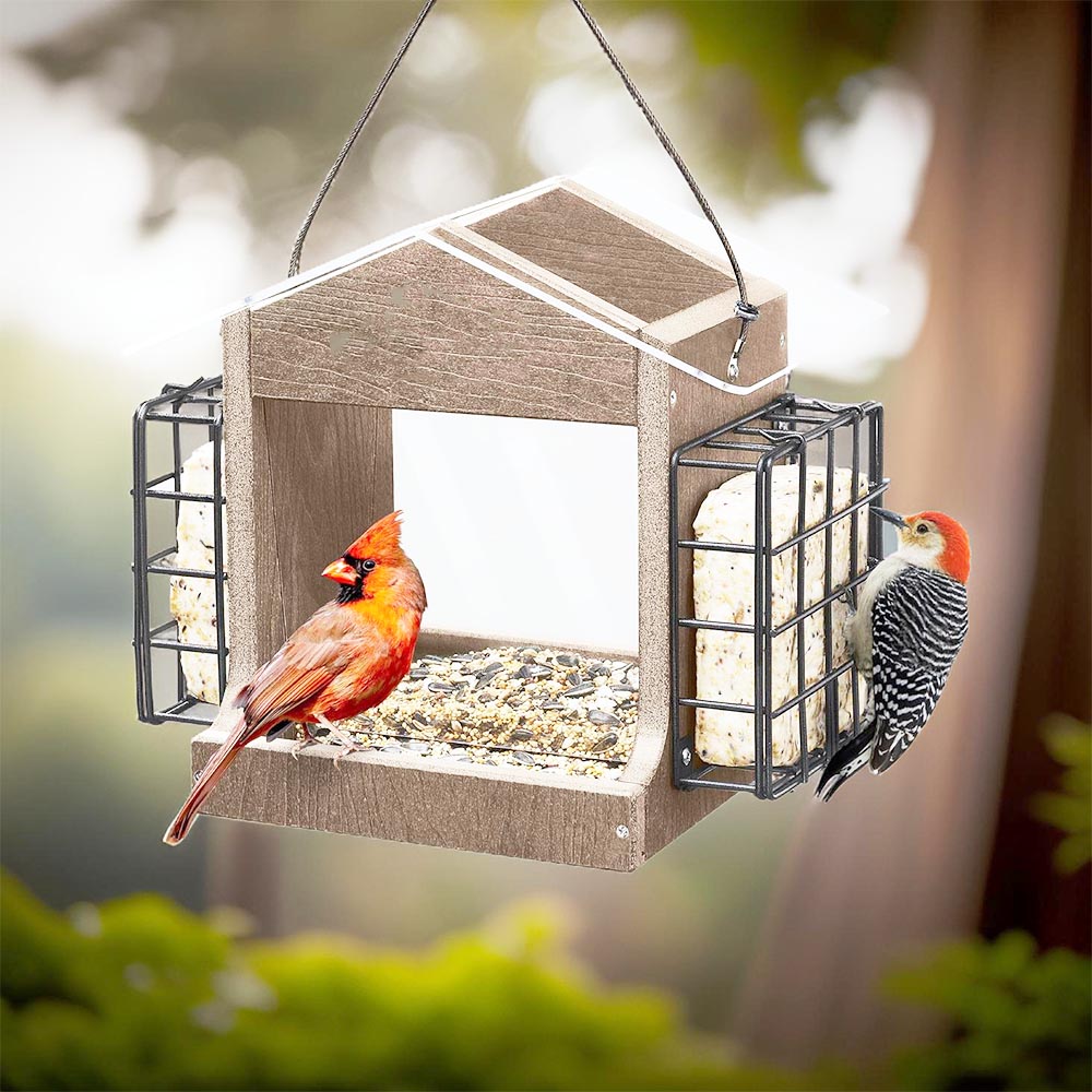 homemade bird feeder for cardinals