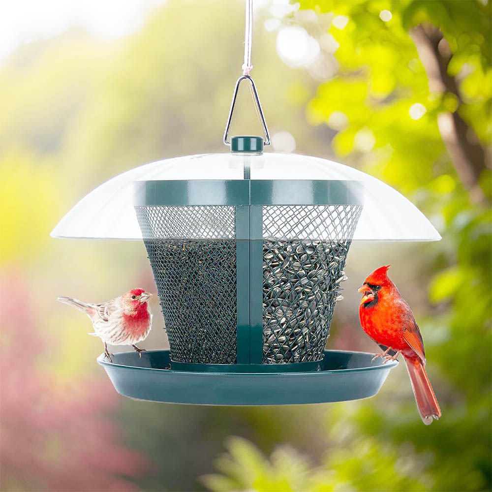 squirrel proof bird feeder for cardinals