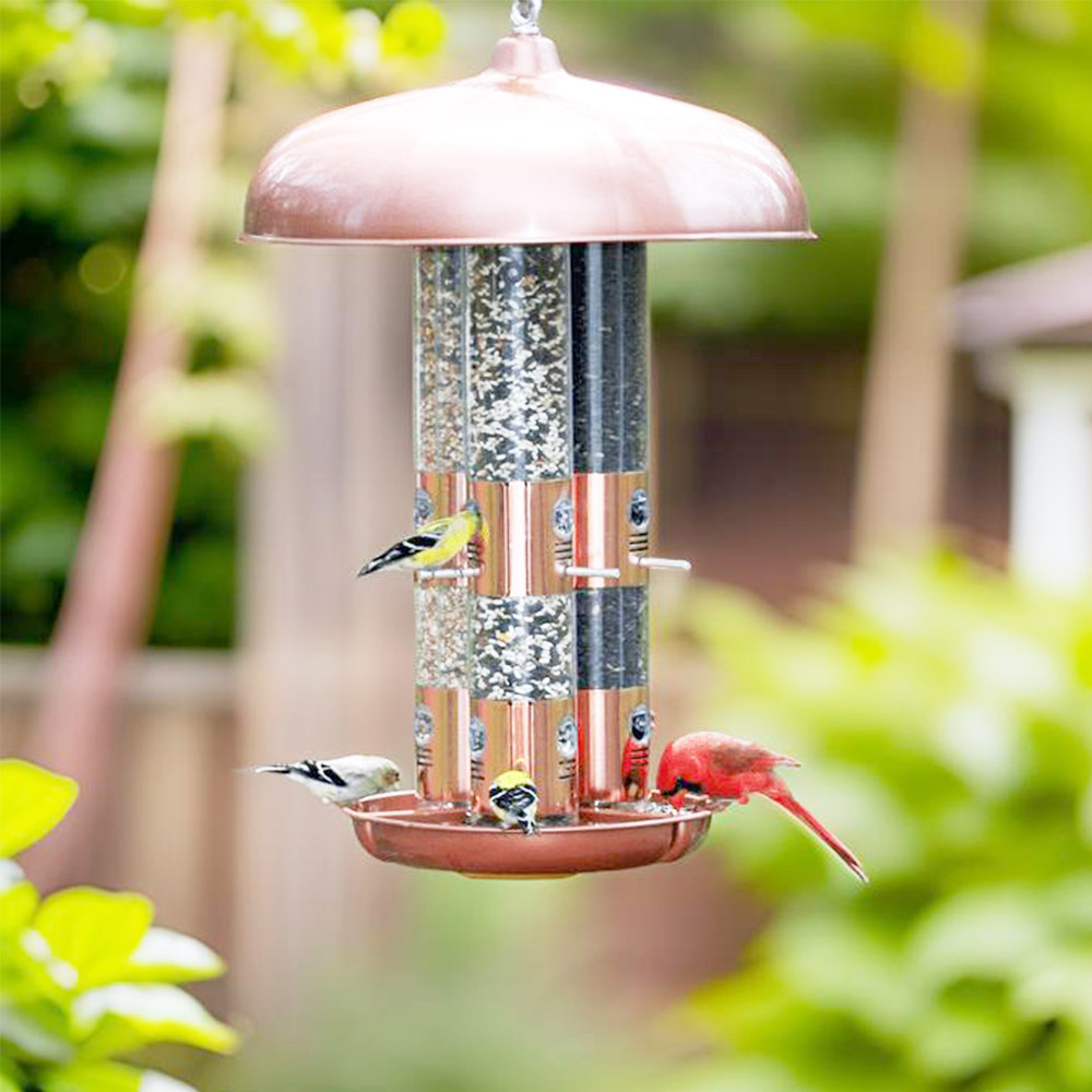 squirrel proof cardinal bird feeder