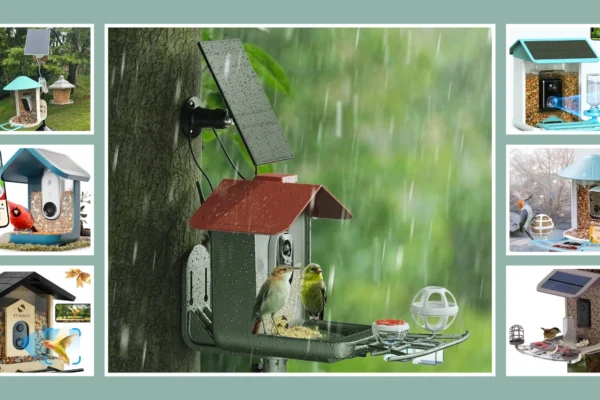 12 Smart AI Recognition Bird Feeder - Best Choices In 2025
