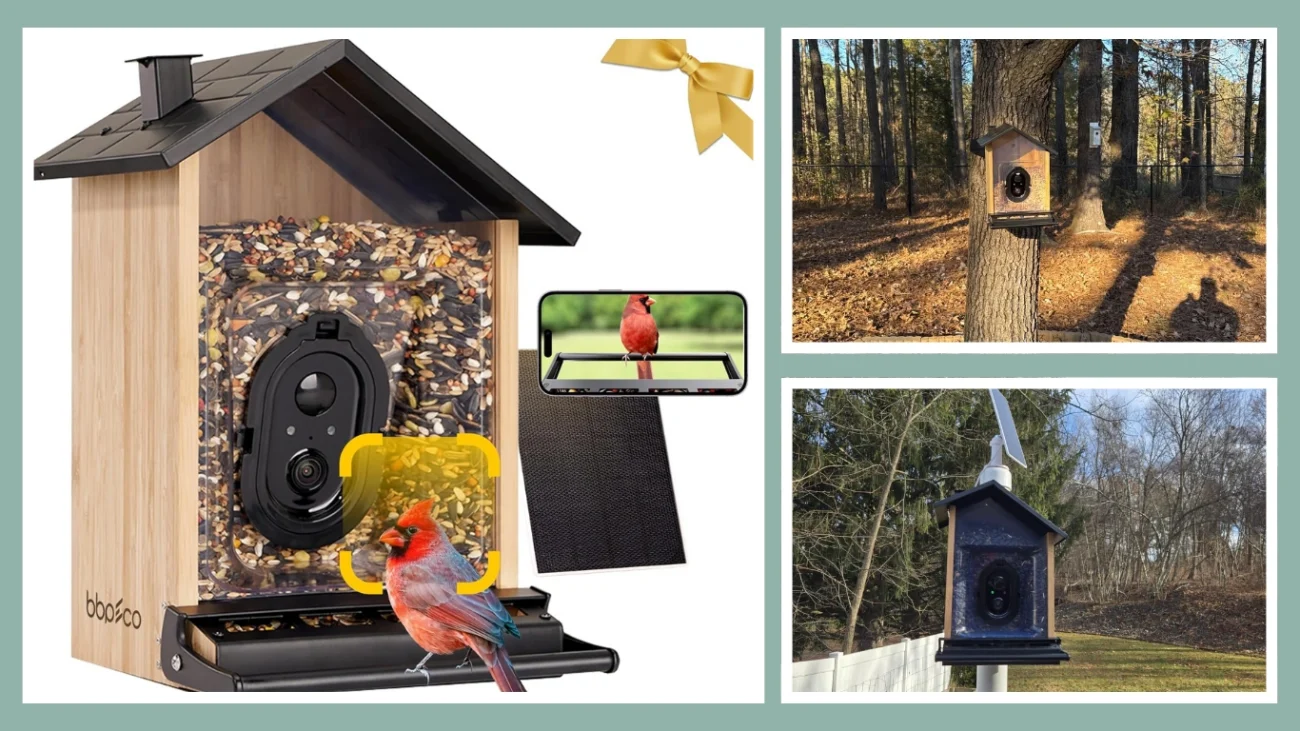 BBPECO Smart Squirrels-Proof Bird Feeder