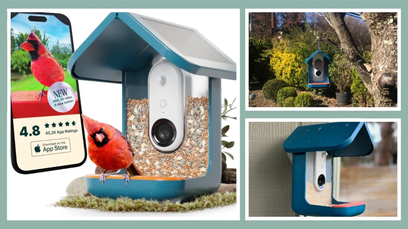 Bird Buddy Smart Bird Feeder Pro - Best for Community & Ease of Use