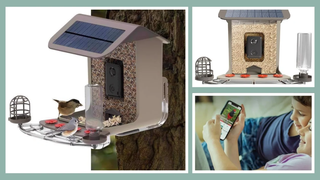 BirdGenius Smart Bird Feeder with Camera - Best for AI-Powered Identification and App Integration