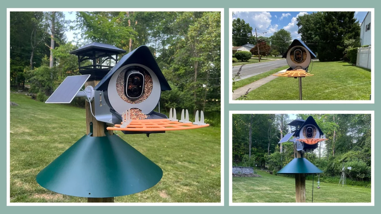 Birdkiss Smart Bird Feeder with Solar Panel - Best for Affordability and Ease of Use