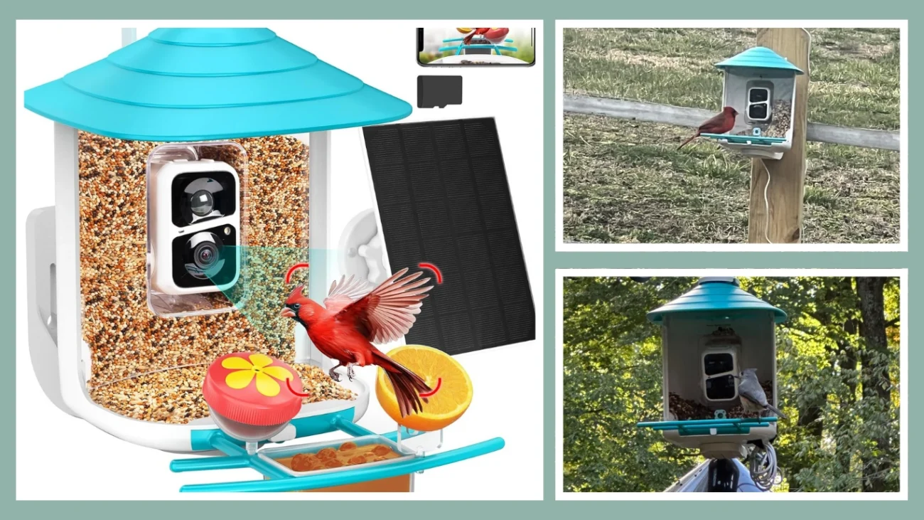 Birdsnap TUC Smart Bird Feeder