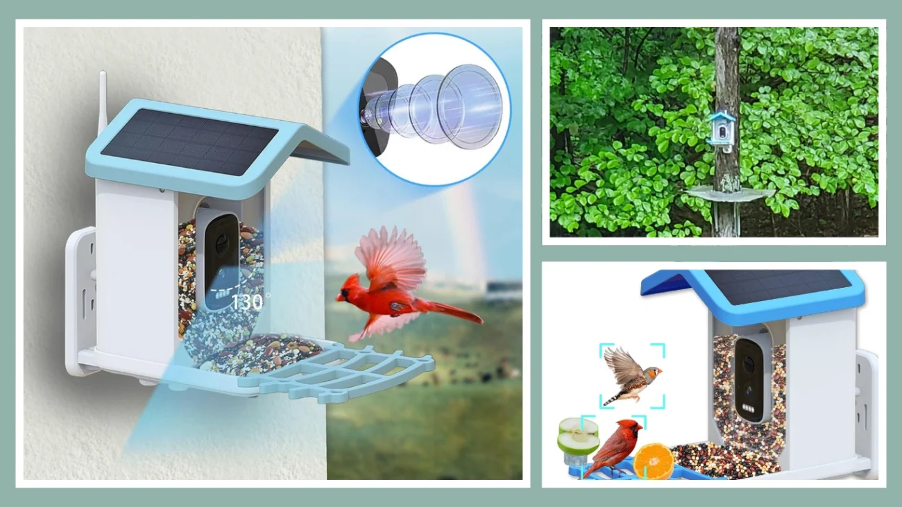 CiKiKWXO Smart Bird Feeder with Camera Solar - Best for 2.5K HD and Free AI