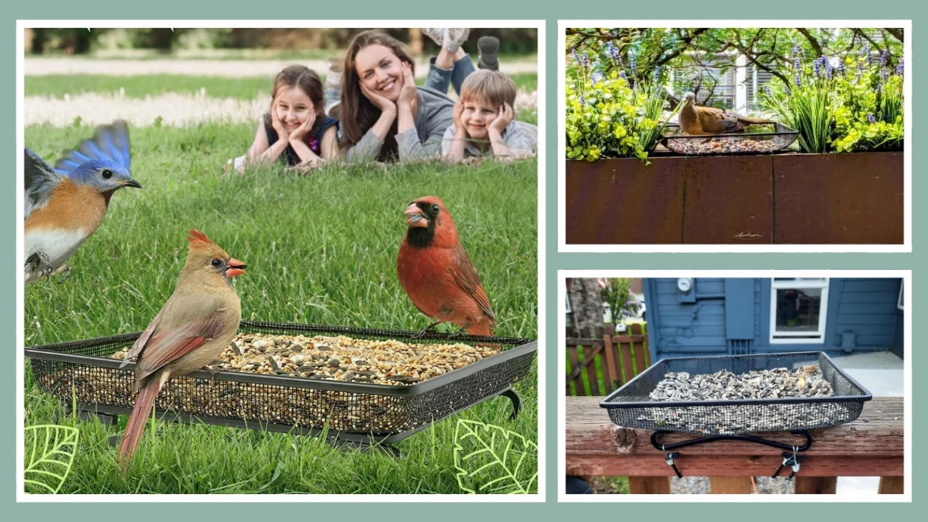 Gray Bunny Ground Bird & Squirrel Feeder Tray – 11x11 Inch