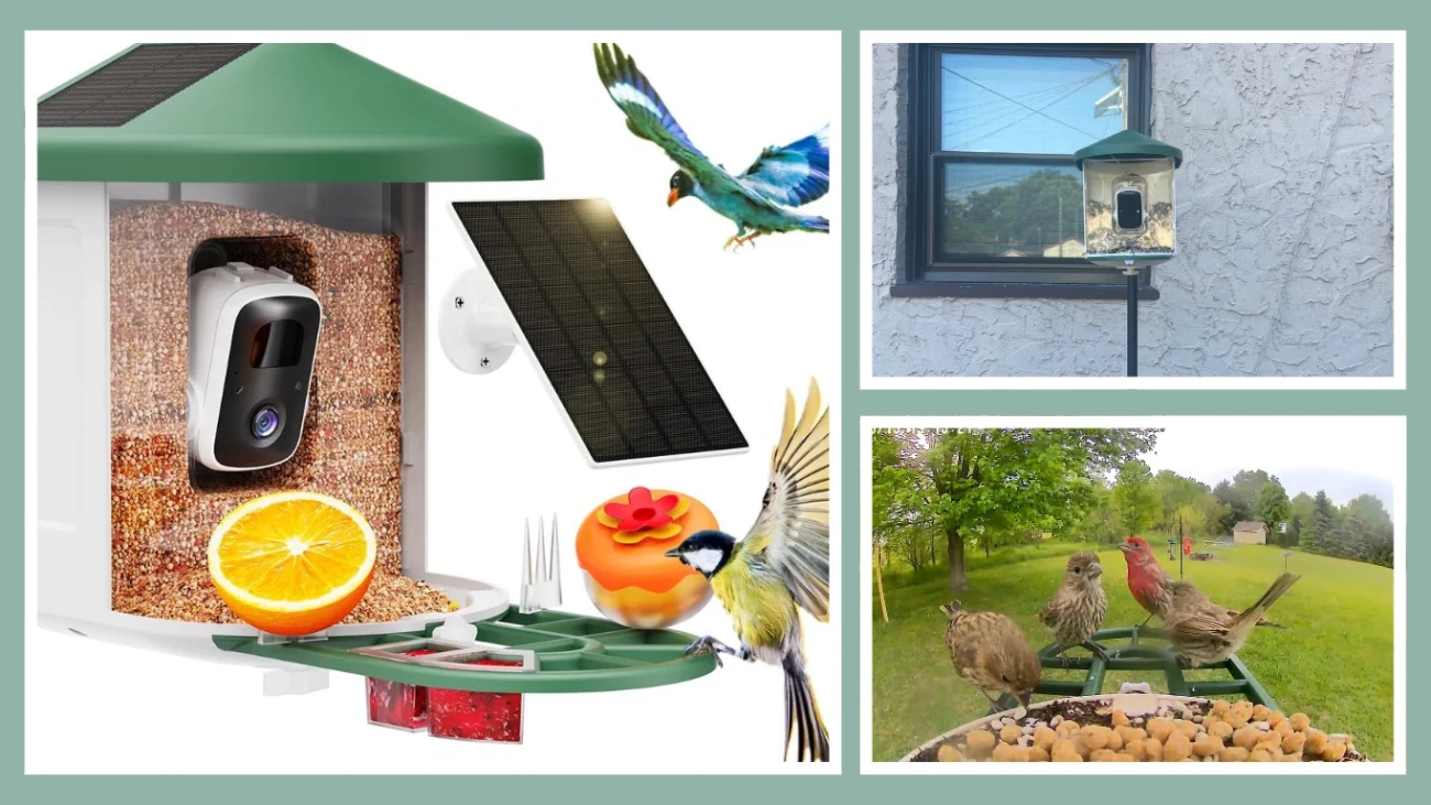 Harymor Bird Feeder