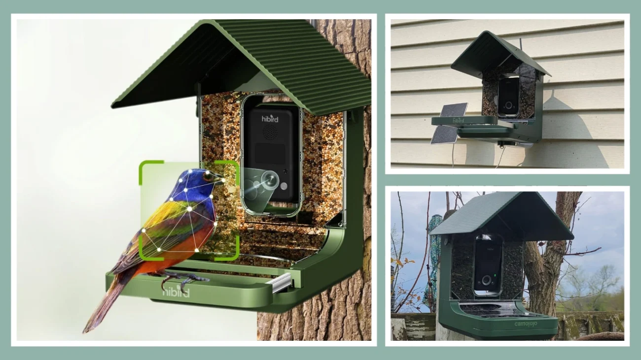 Hibird 4K HD Smart Bird Feeder With Camera - Best for Ultra HD Video Quality