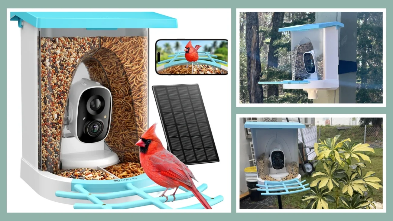 IsYoung Smart Bird Feeder