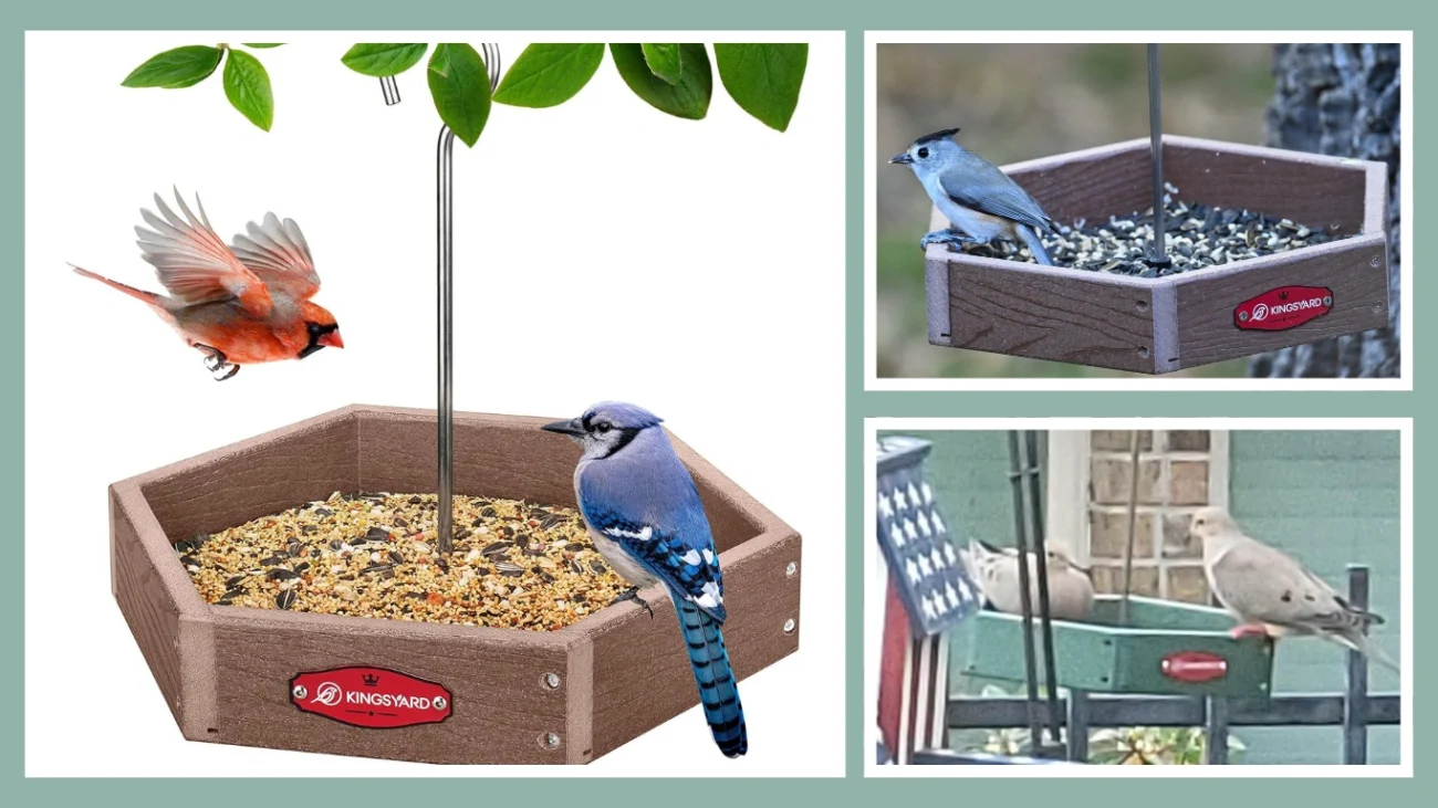 Kingsyard Hanging Platform Bird Feeder – 11.5 x 11.5