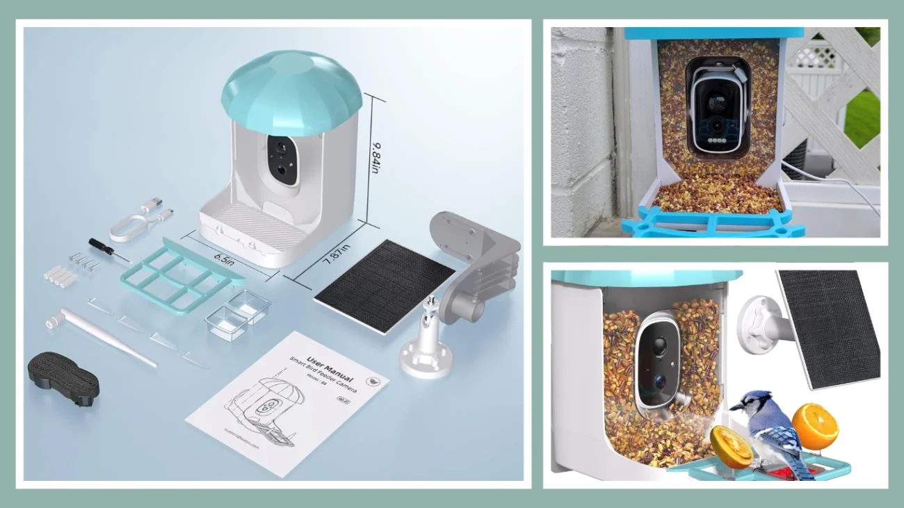 Loatos Bird Feeder
