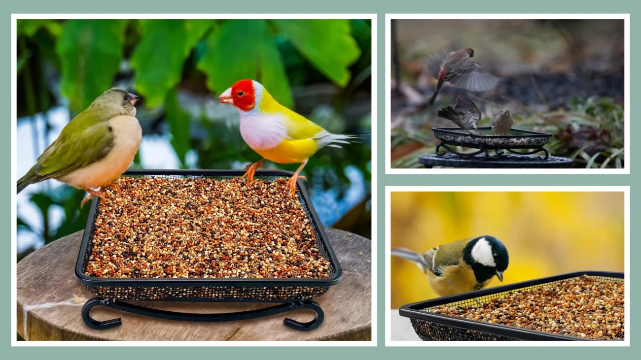 MIXXIDEA Ground Bird Feeder Tray – 7x7 Inch Metal Platform