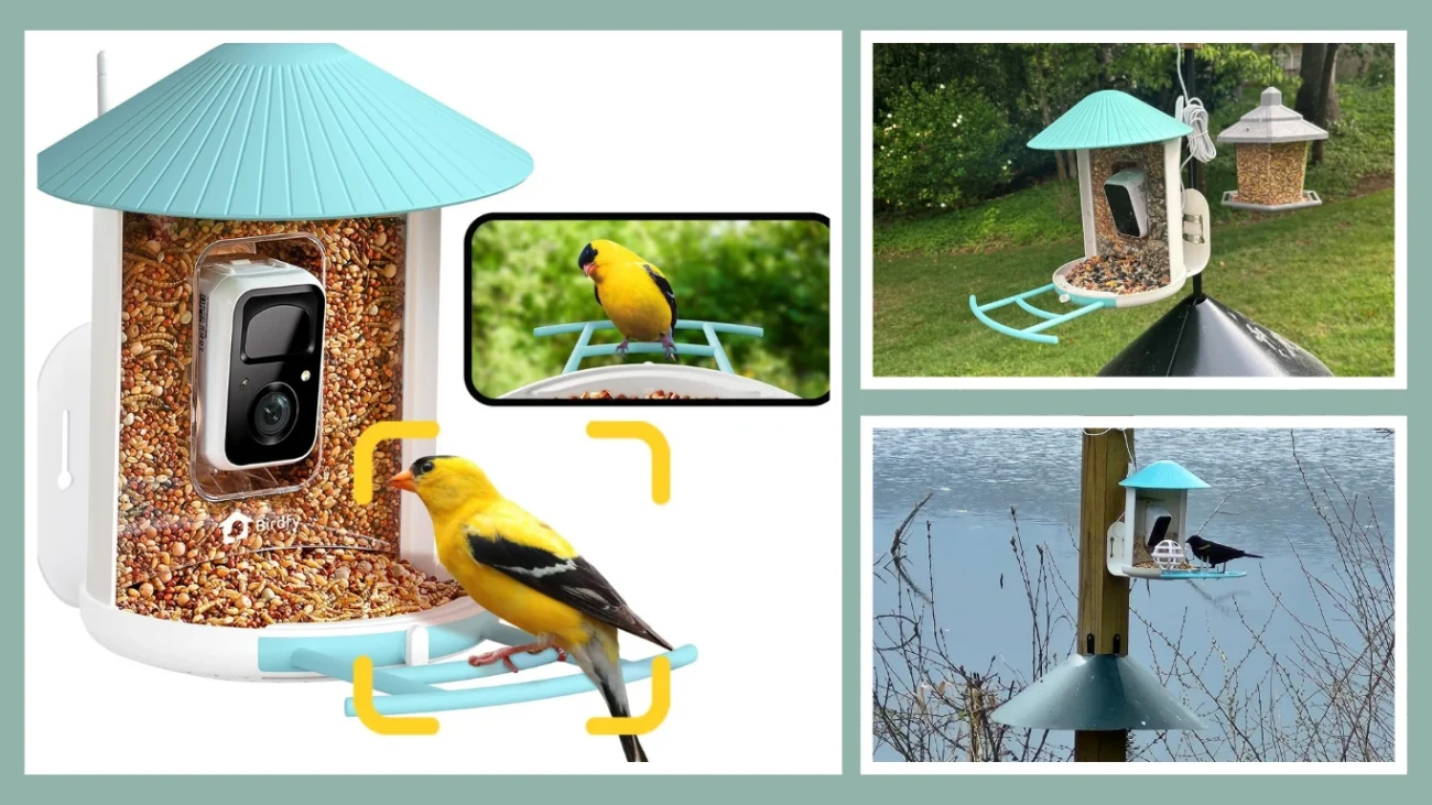 NETVUE Birdfy AI Smart Bird Feeder