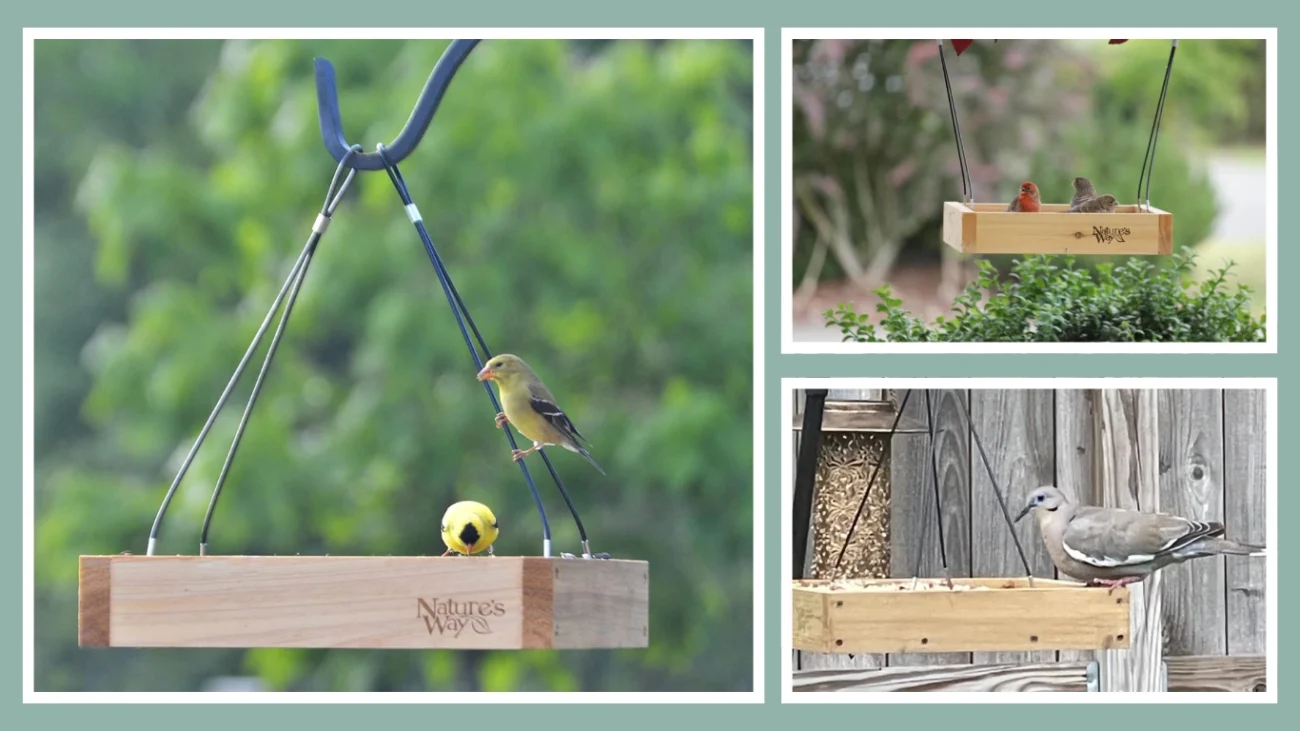 Nature's Way CWF3 Cedar Platform Tray Bird Feeder – 12 x 12