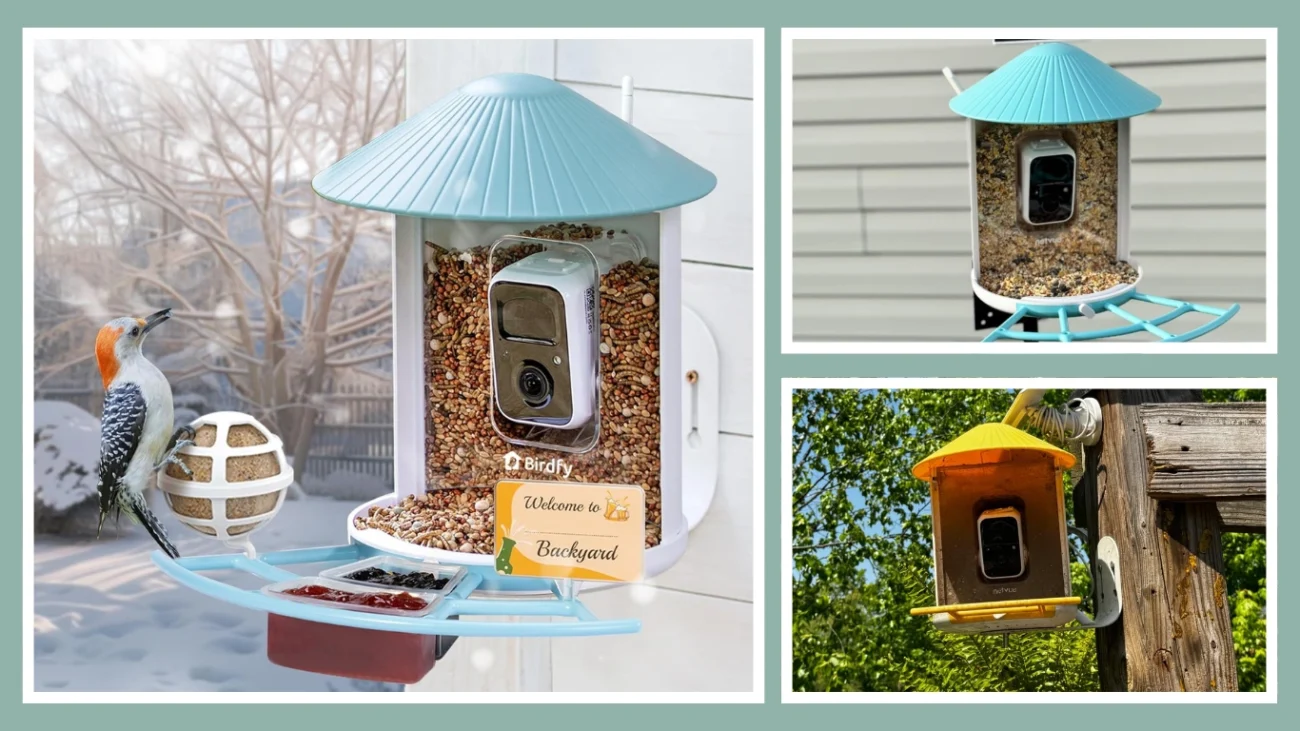 Netvue Birdfy Pro - Best Overall & Most Feature-Rich