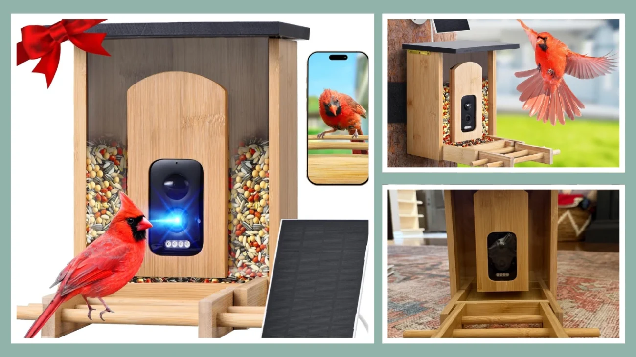 Onhear Smart Bird Feeder