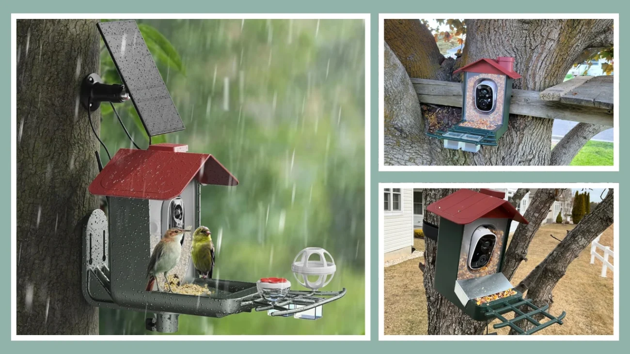 Peeipm Bird Feeder