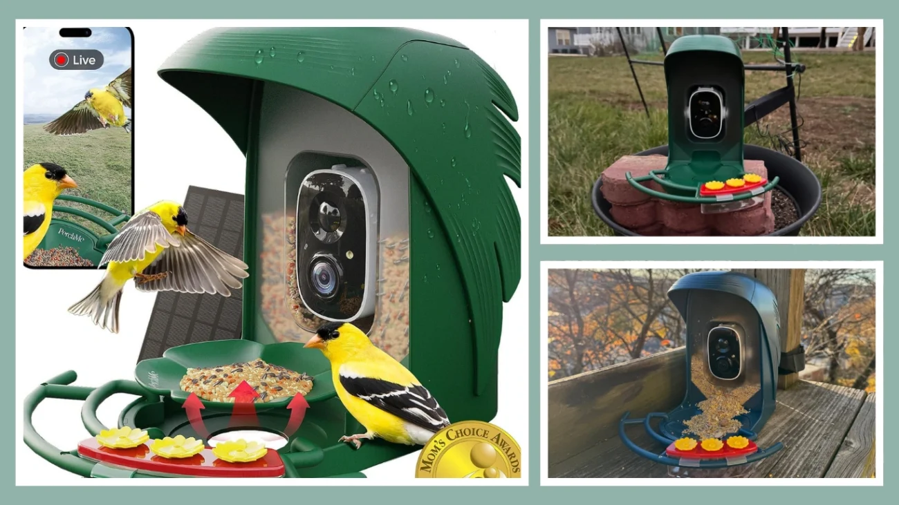 PerchMe Smart Bird Feeder with Camera - Best for AI Identification and Wide-Angle View