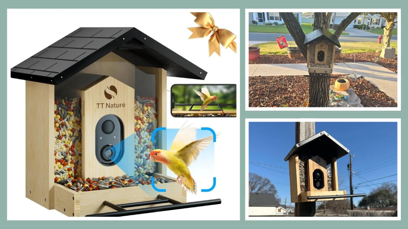 TT Nature Bird Feeder