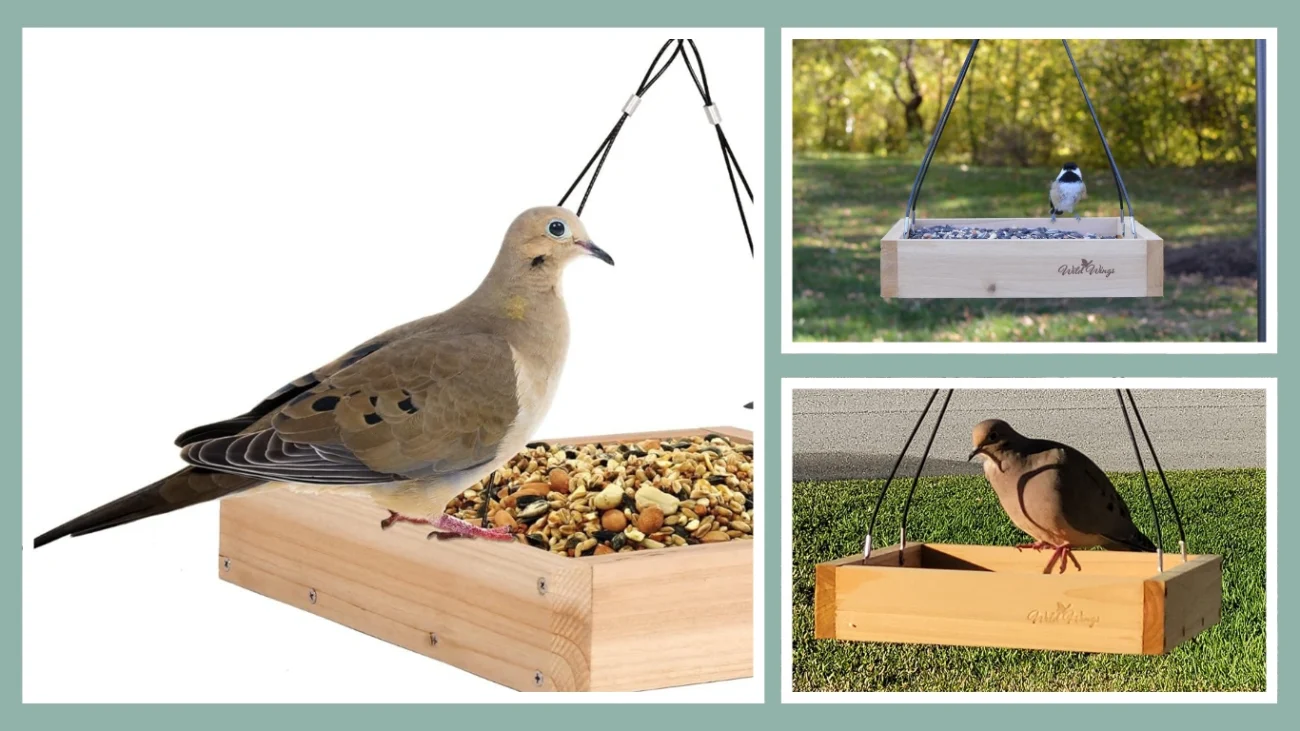 Wild Wings WWCF23 Cedar Tray Bird Feeder