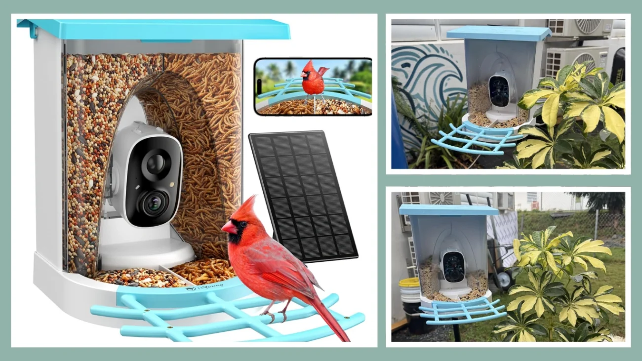 isYoung Birdlook Smart Bird Feeder with Camera - Best for 2K HD and Wide View