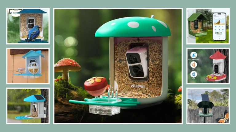 10 Best Wireless Bird Feeder Cameras for Smart Birdwatching