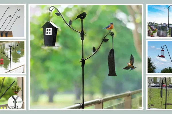 11 TOP Best Bird Feeder Hangers For Decks Attract Birds in Style!