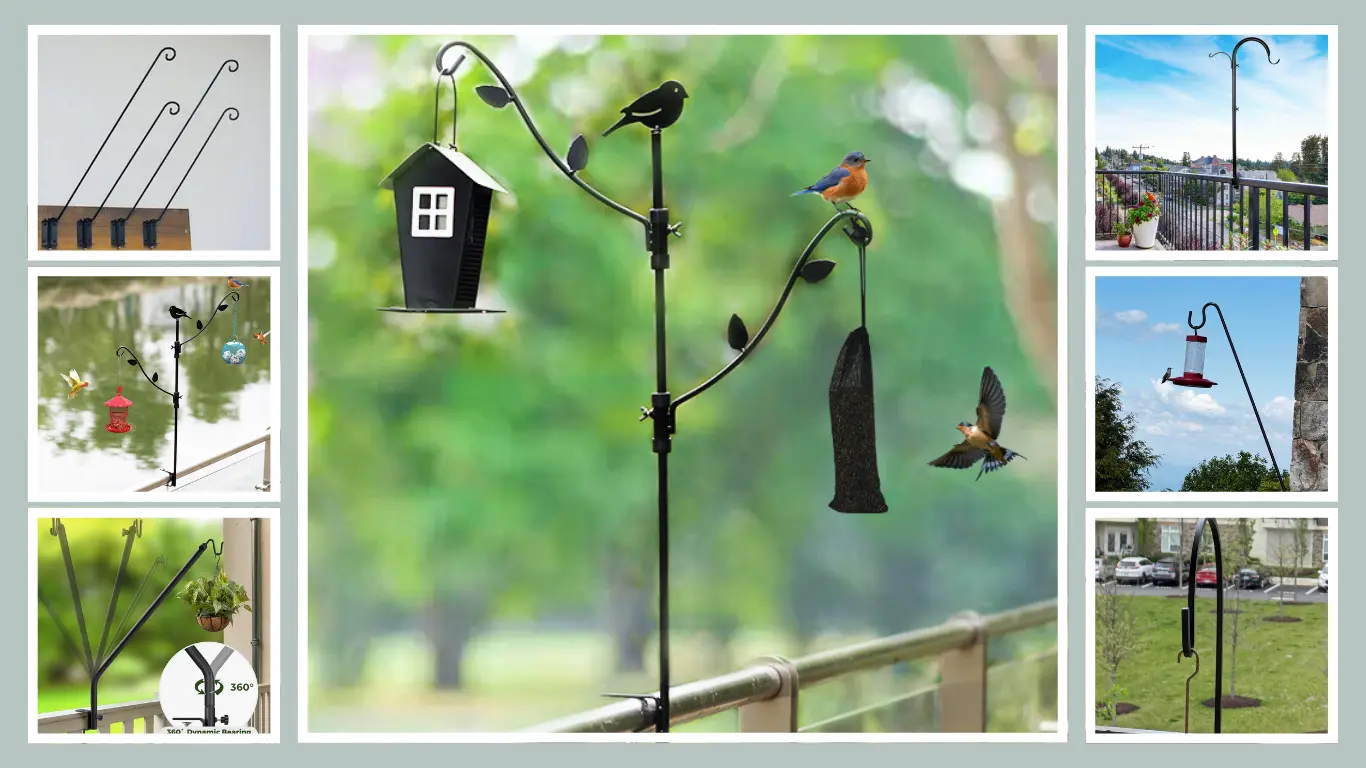 11 TOP Best Bird Feeder Hangers For Decks Attract Birds in Style!