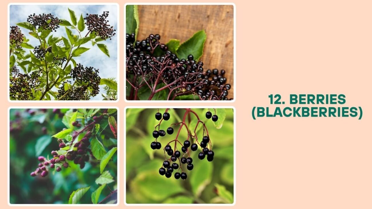 Berries