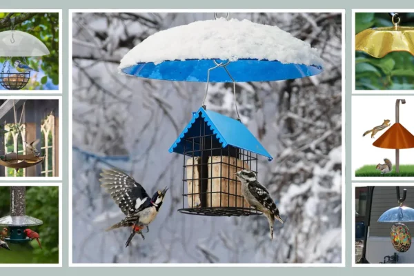 12 Best Bird Feeder Covers for Rain Reviews And Top Picks!