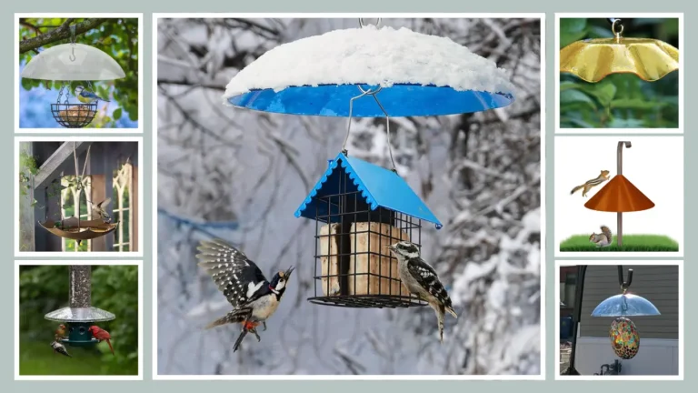 12 Best Bird Feeder Covers for Rain: Reviews And Top Picks!