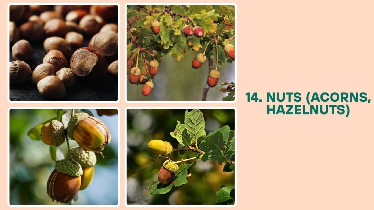 Nuts