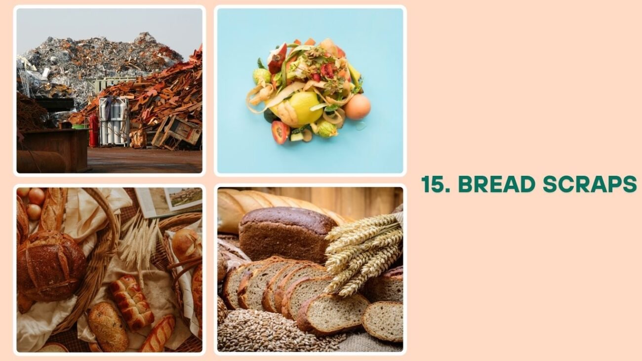 Bread Scraps