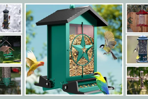 15 Best Bird Feeders For Outdoor Hanging For Your Backyard Birds!