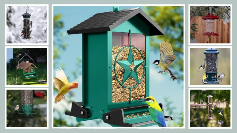 15 Best Bird Feeders For Outdoor Hanging For Your Backyard Birds!