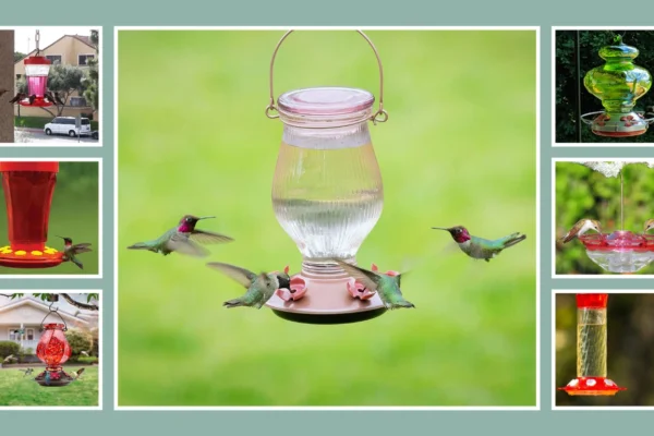15 Best Hummingbird Feeders for Outdoor Beautify Your Garden!