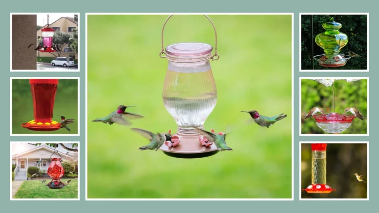 15 Best Hummingbird Feeders for Outdoor Beautify Your Garden!