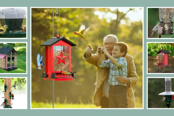 15 Best Squirrel-Proof Bird Feeders Review and Guide