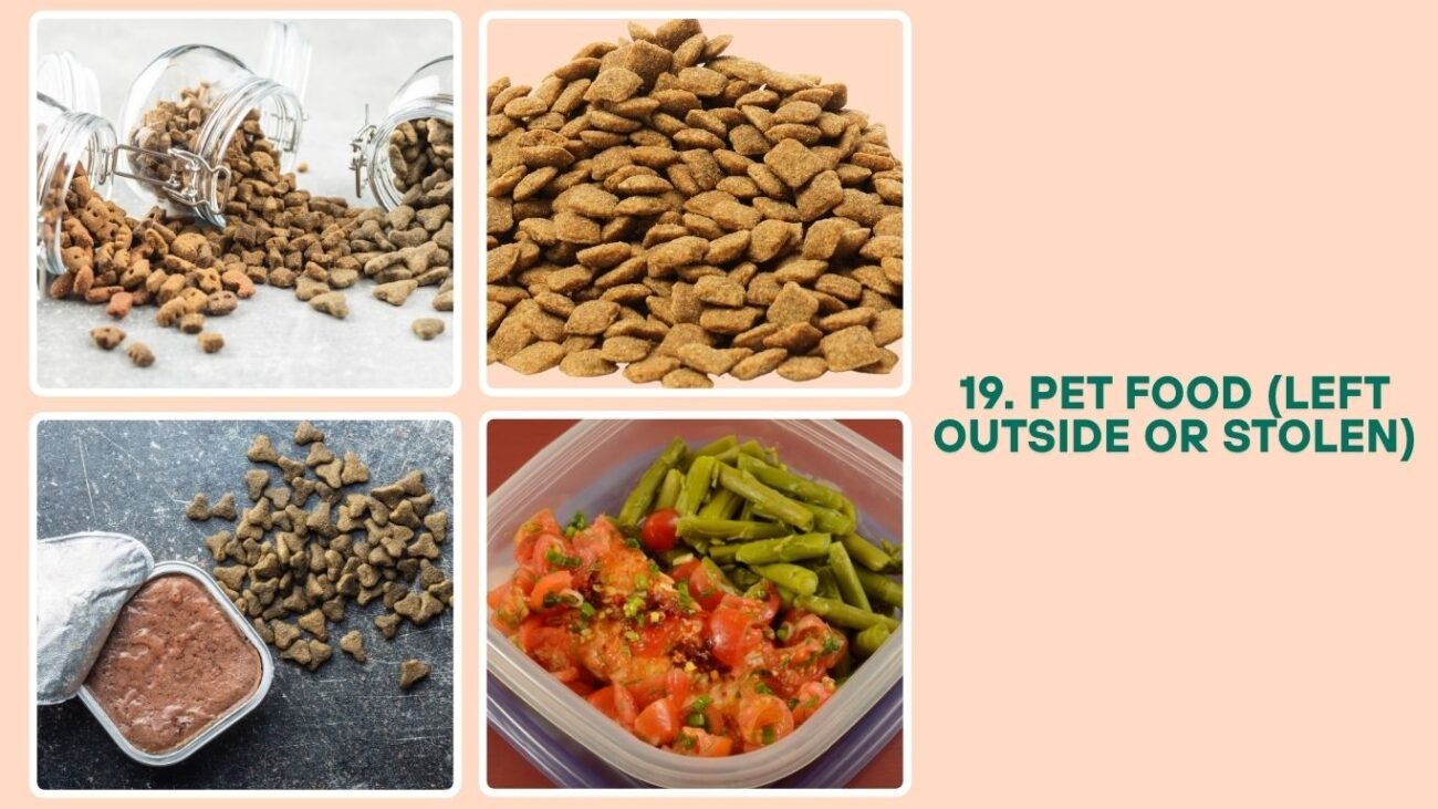 Pet Food