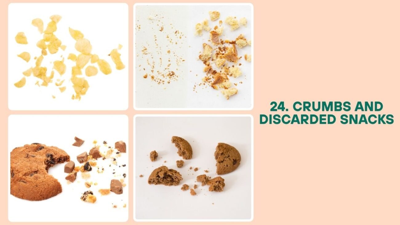 Crumbs and Discarded Snacks