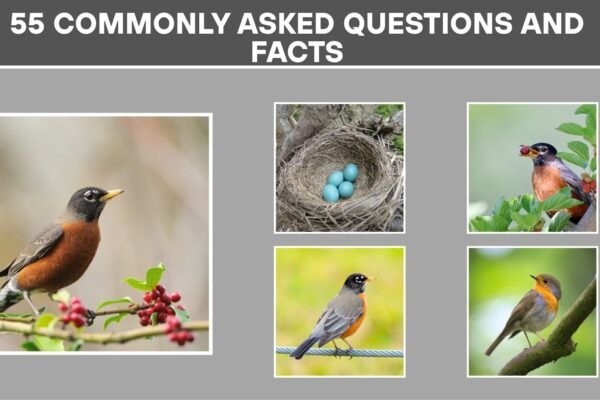 55 Commonly Asked Questions and Facts