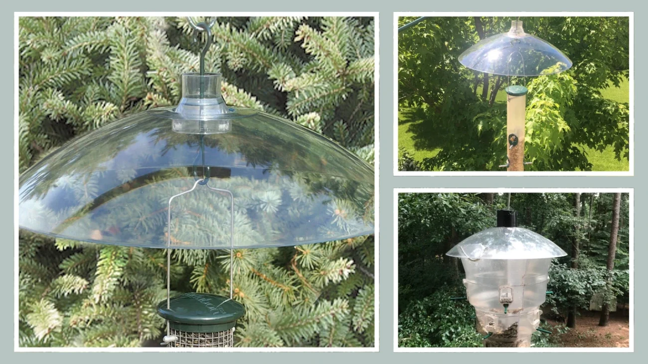 AUDUBON NACLBAF16 Clear Squirrel Baffle, 16-Inch